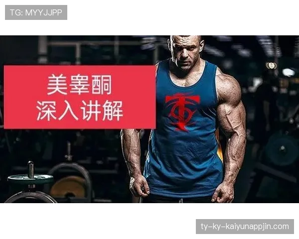 深入解析篮球球队犯规累计规则与相关判罚